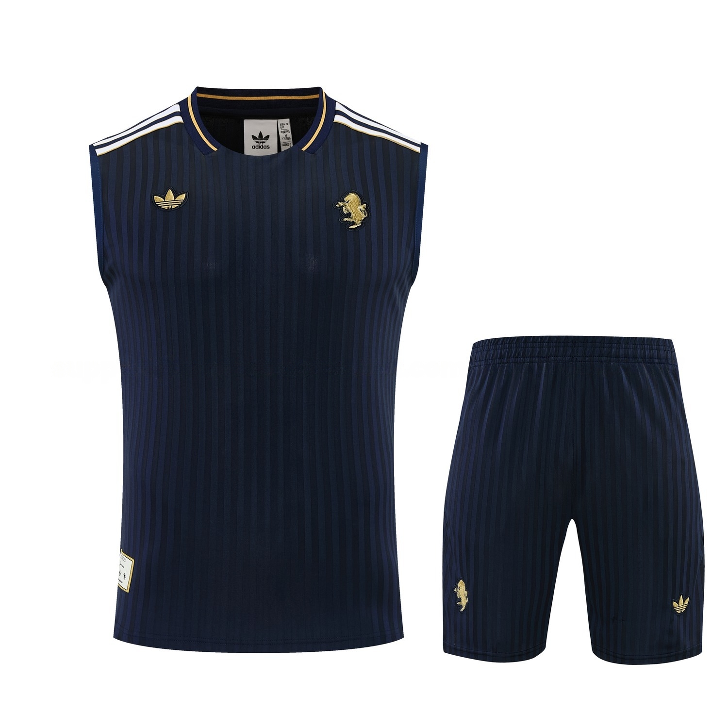 Juventus 25-26 Vest Training Set - Navy Blue Vest and Shorts - JerseysGala