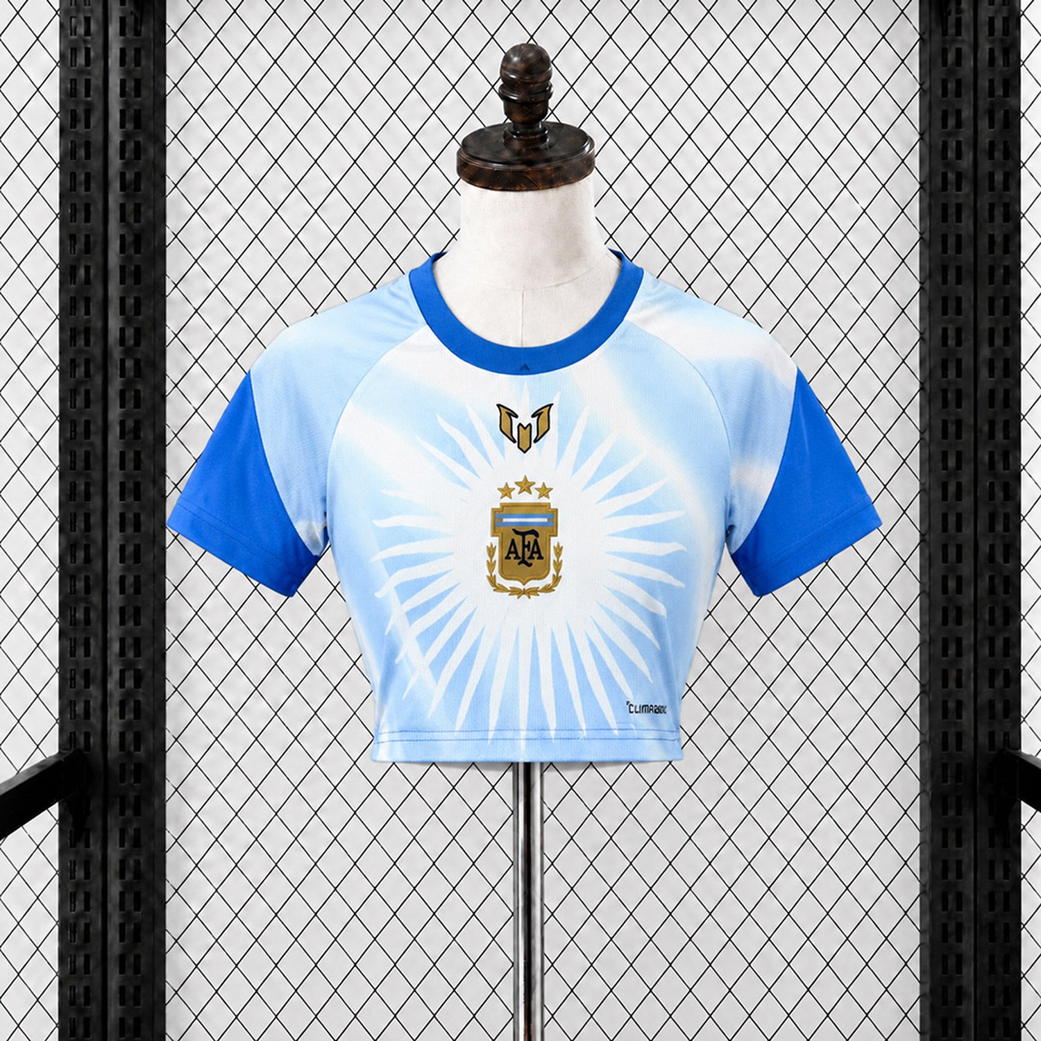 Women's Argentina 2026 Messi Tribute Blue White Pre-Match Training Cropped Jersey - Fans Version - JerseysGala