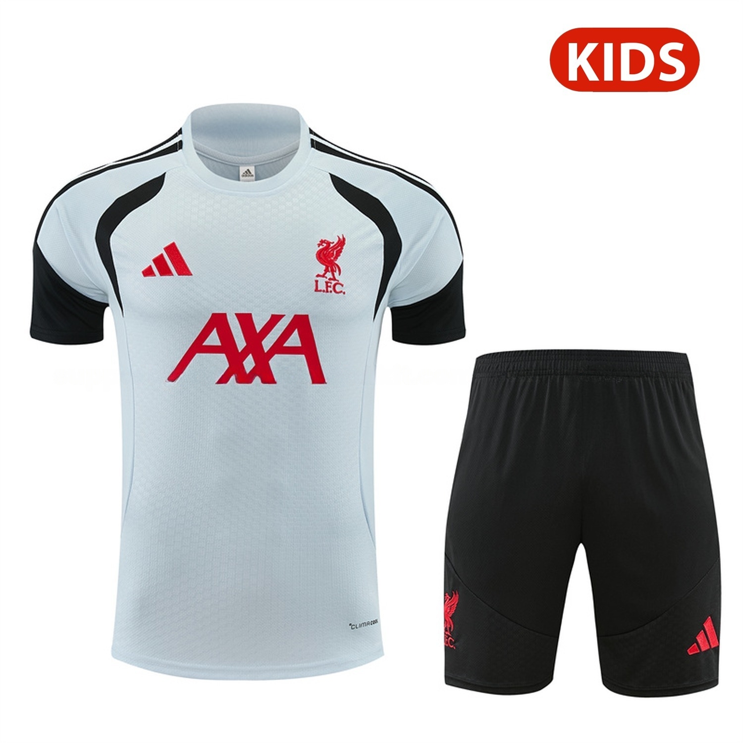 Liver.pool 26-27 Kids Short-Sleeve Training Set - Light Grey Top & Black Shorts - JerseysGala