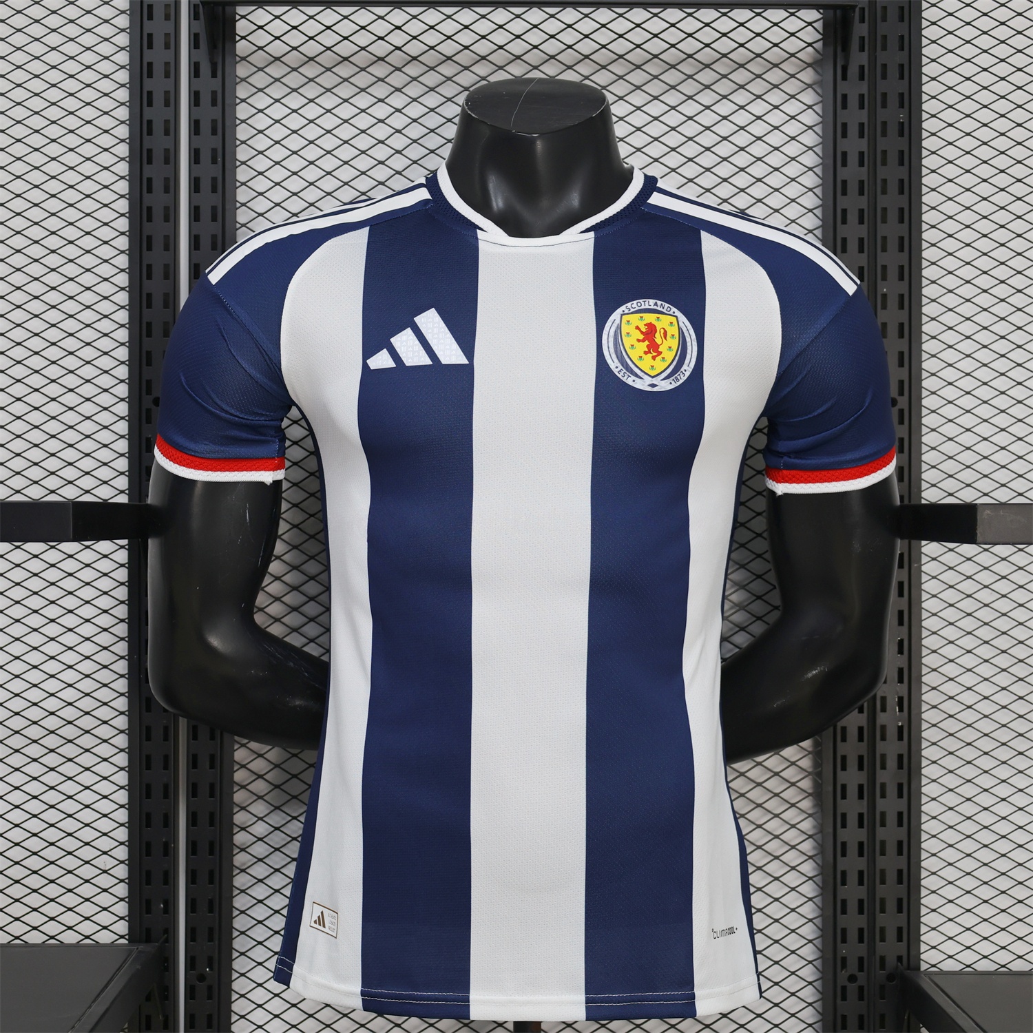 Wales 2026 Blue And White Special Jersey - Player Version - JerseysGala