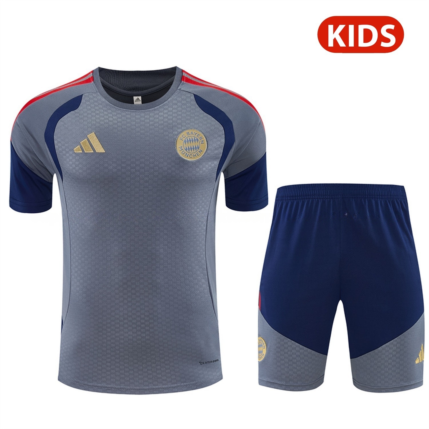 Bayern Munich 26-27 Kids Short-Sleeve Training Set - Grey Top & Deep Blue Shorts - JerseysGala