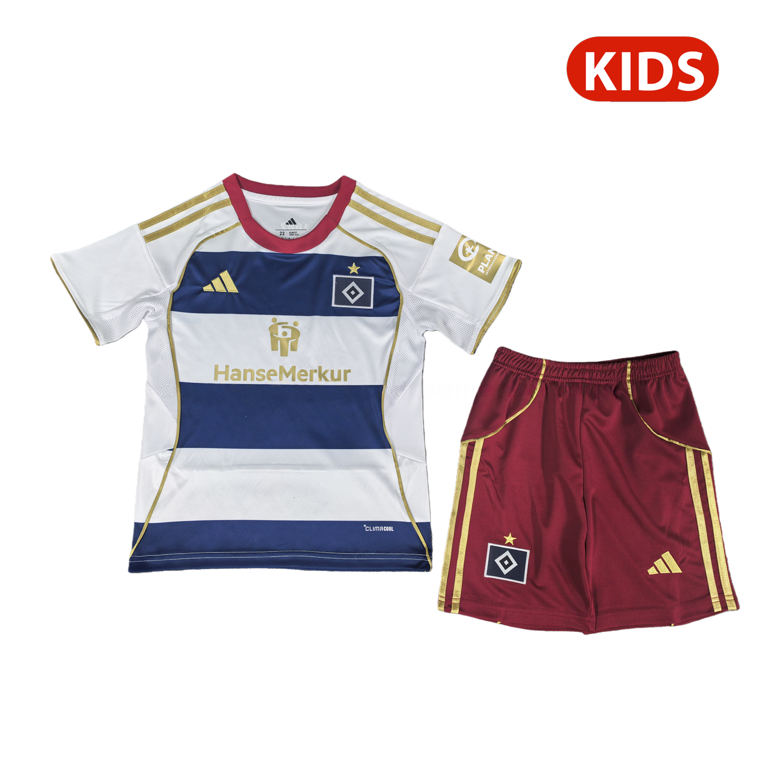 Hamburger SV 25-26 1887 Bundesliga Games Special Kids Kit - JerseysGala