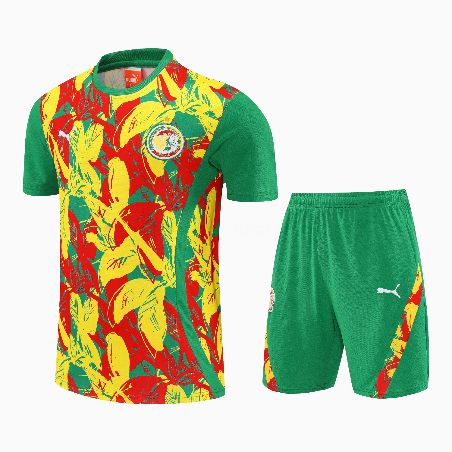 Senegal 2026 Short-Sleeve Training Set - Variegated Top and Green Shorts - JerseysGala