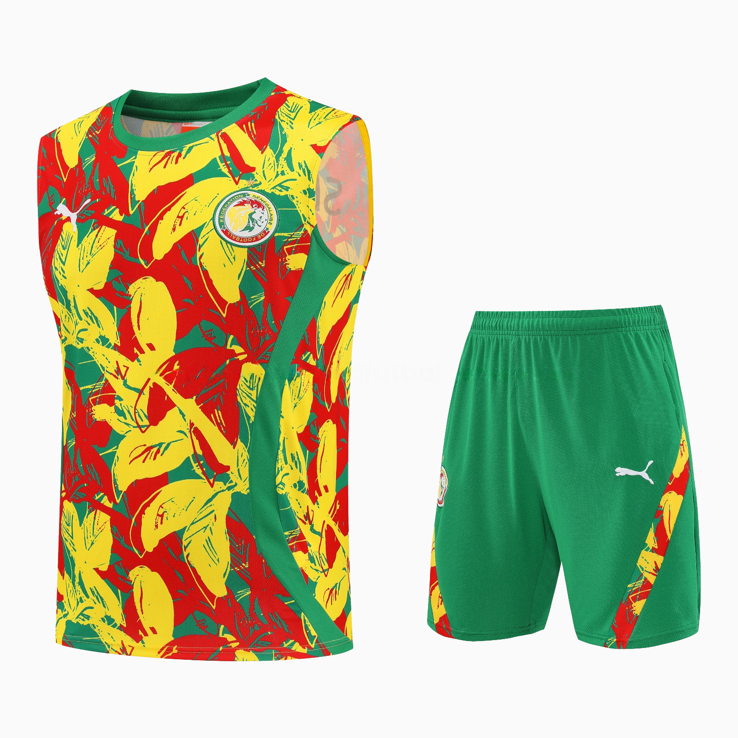Senegal 2026 Vest Training Set - Variegated Vest and Green Shorts - JerseysGala