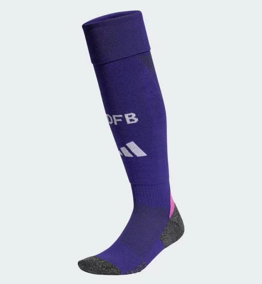 Germany 2024 Away Socks - Purple - JerseysGala