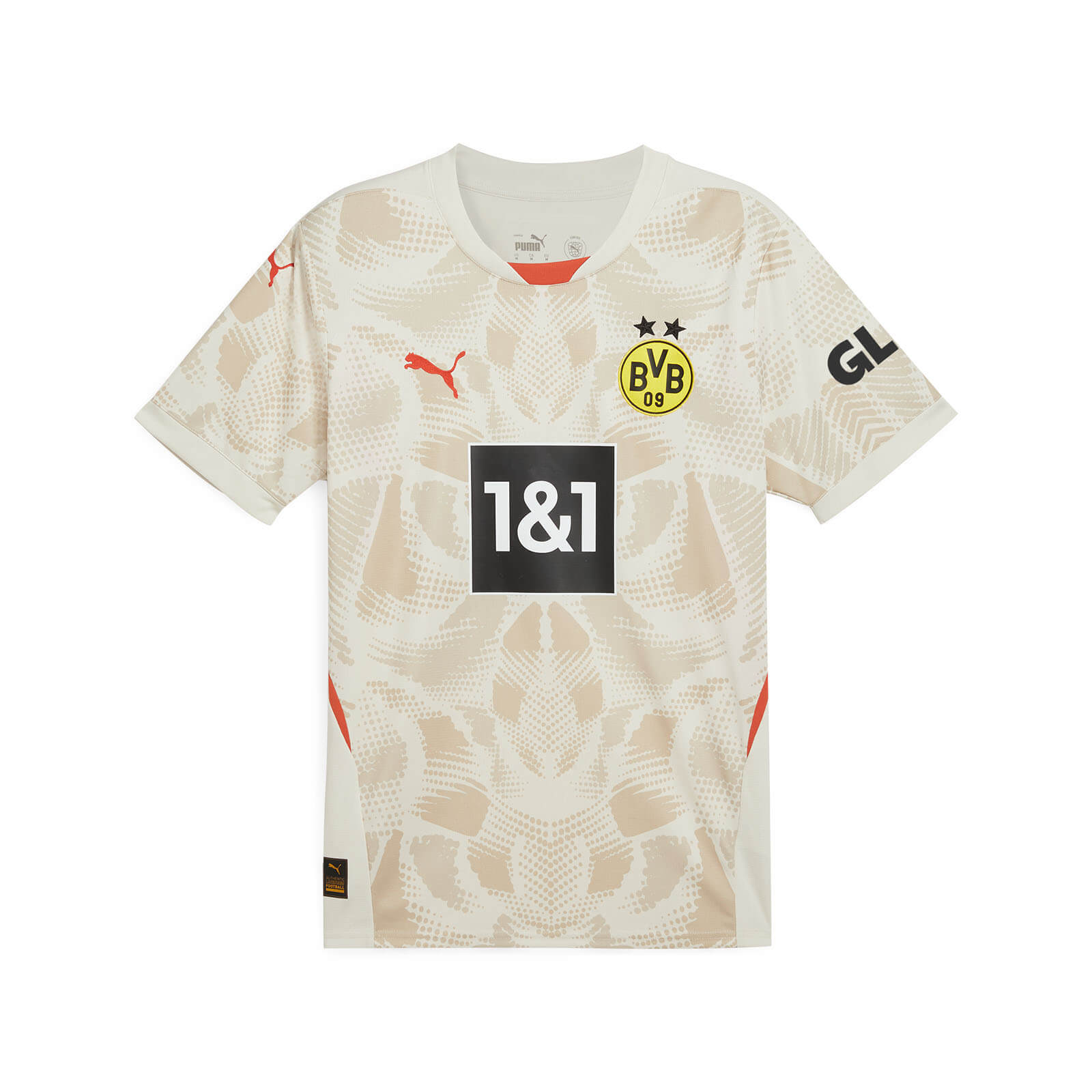Dortmund 24-25 Goalkeeper Grey Jersey - Fans Version - JerseysGala