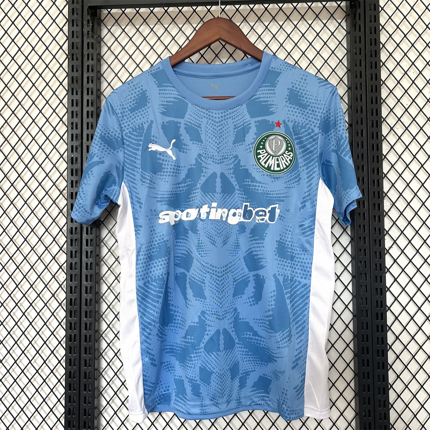 Palmeiras 25-26 Blue Goalkeeper Jersey - Fans Version - JerseysGala