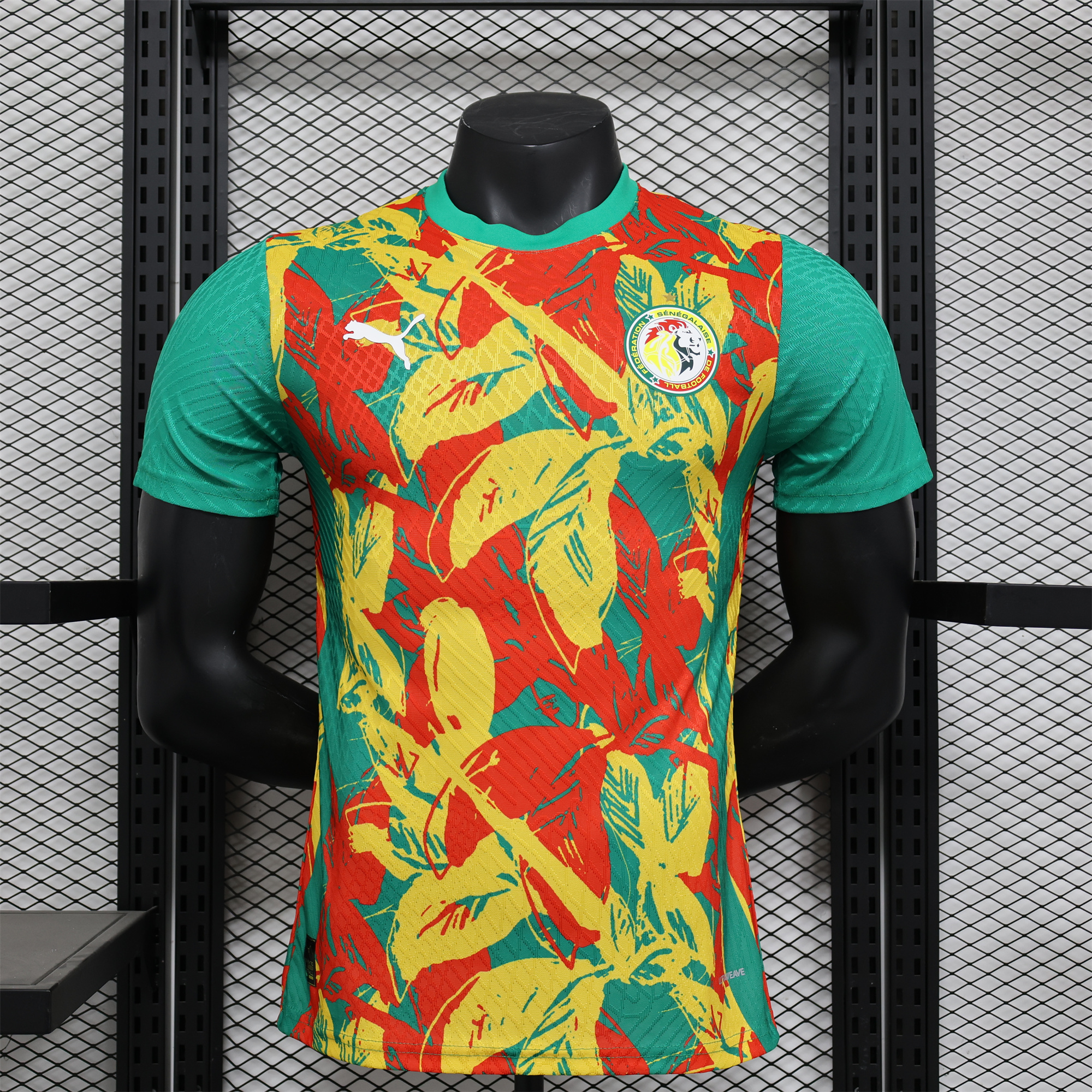 Senegal 24-25 Pre-Match Jersey - Player Version - JerseysGala