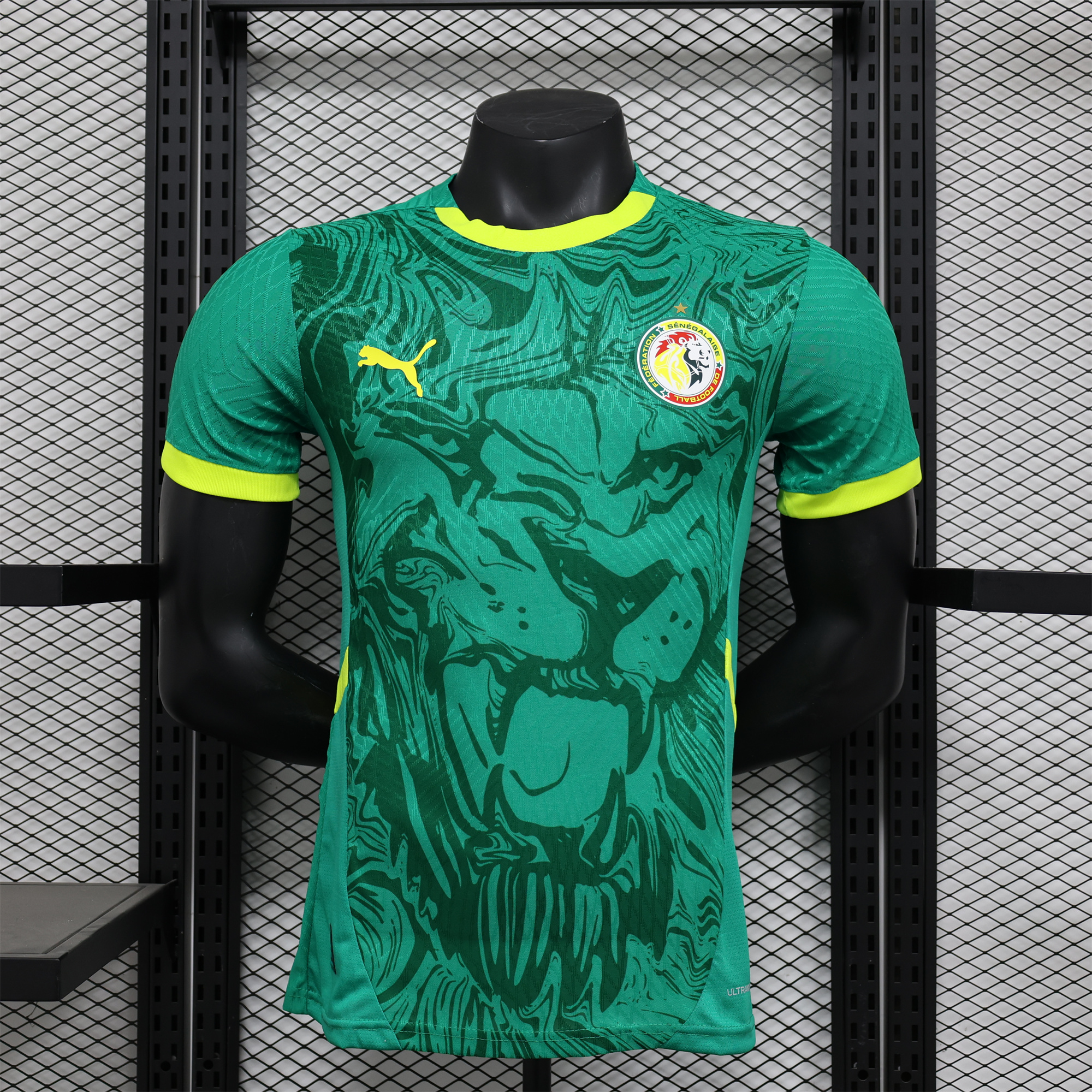 Senegal 24-25 Away Green Jersey - Player Version - JerseysGala
