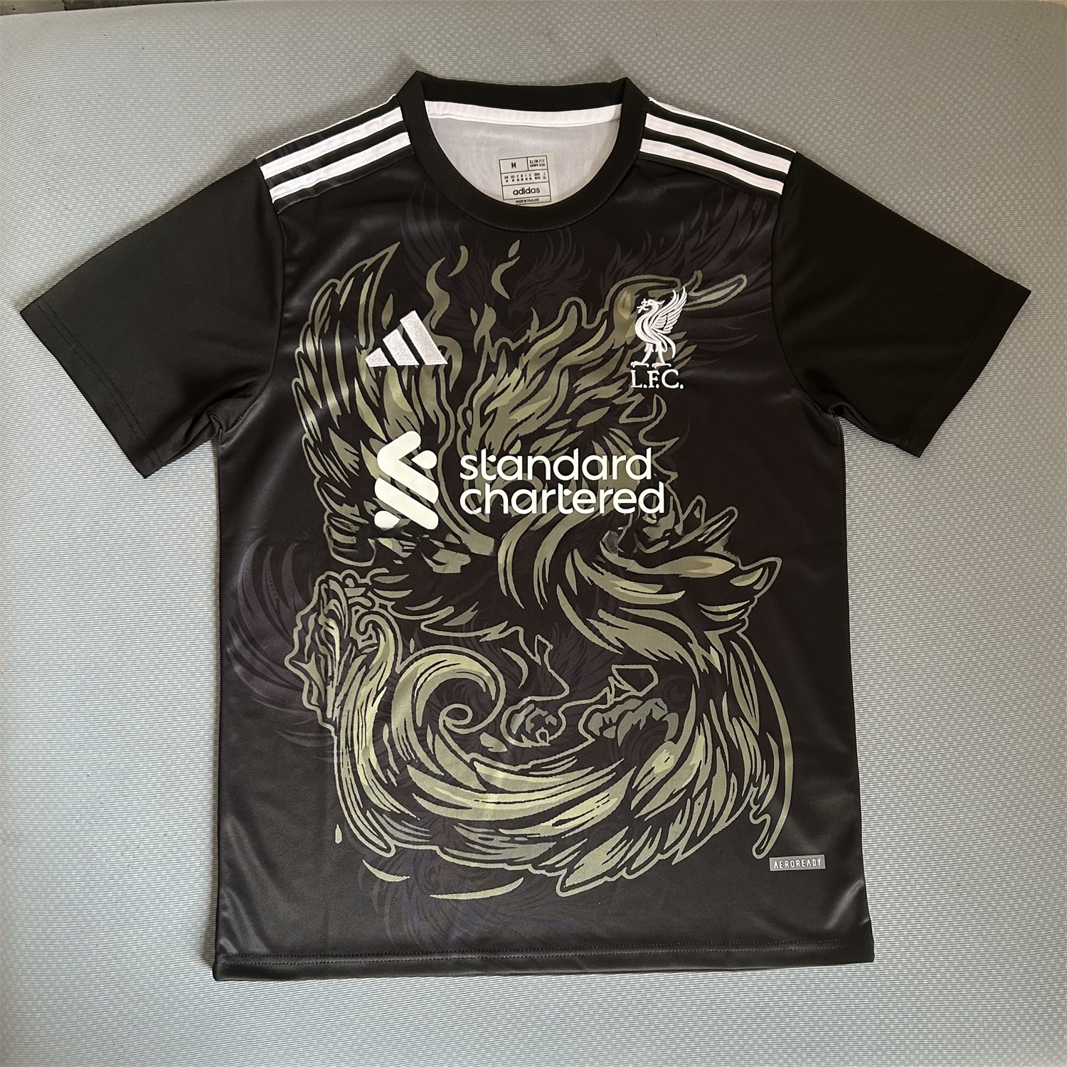 Liver.pool 25-26 Gray Green Liver.pool Bird Black Jersey - Fans Version - JerseysGala