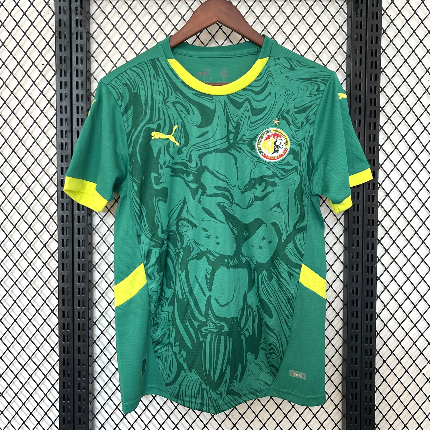 Senegal 25-26 Away Green Jersey - Fans Version - JerseysGala