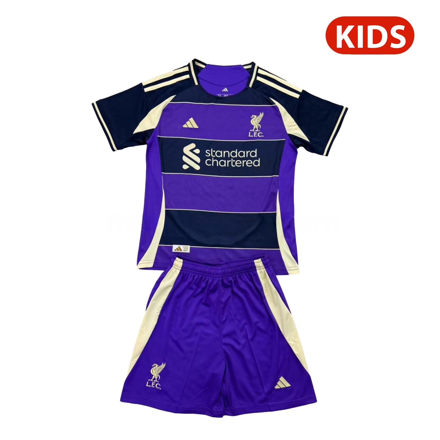 Liver.pool 25-26 Purple Dark Blue Horizontal Stripes Concept Kids Kit - JerseysGala