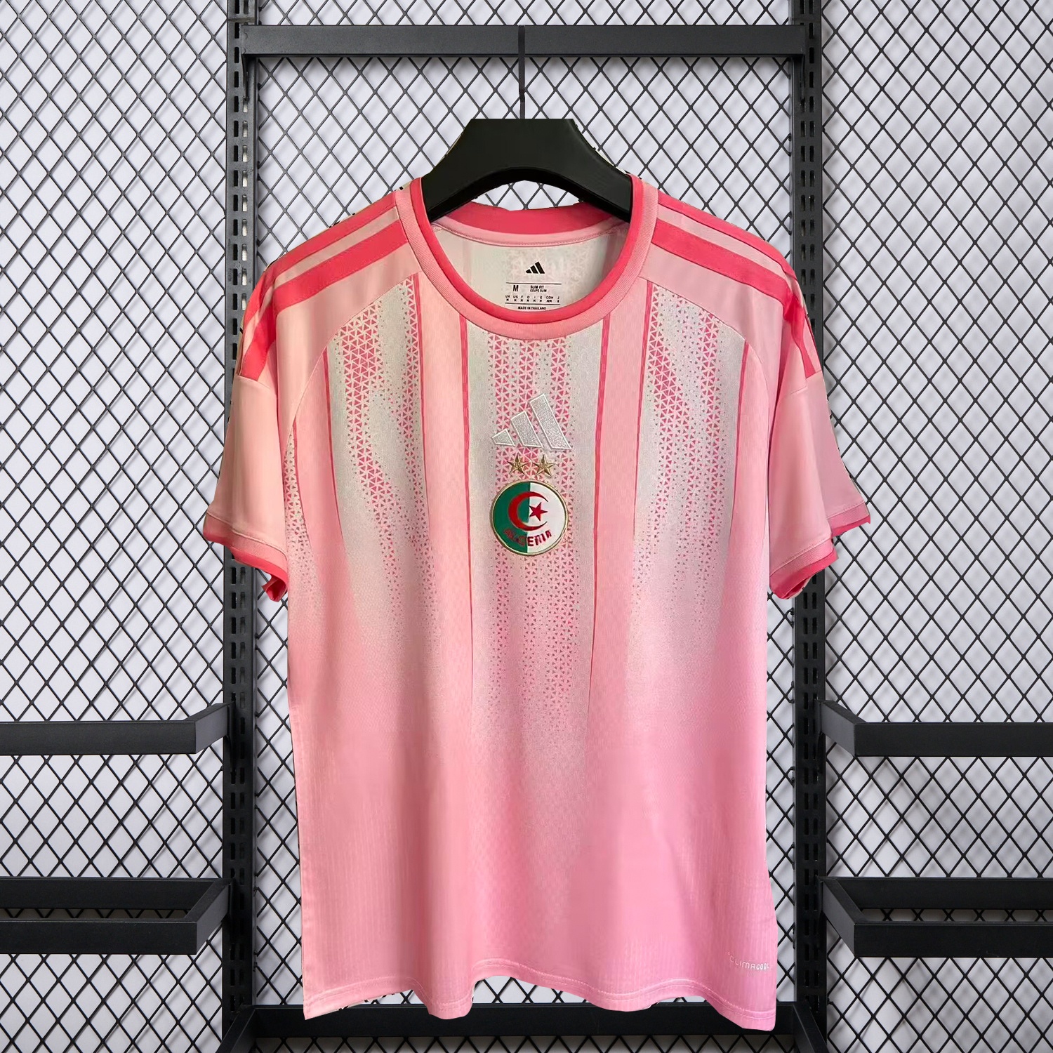 Algeria 2026 Training Pink Jersey - Fans Version - JerseysGala